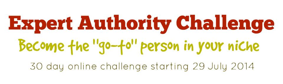 Expert-Authority-Challenge